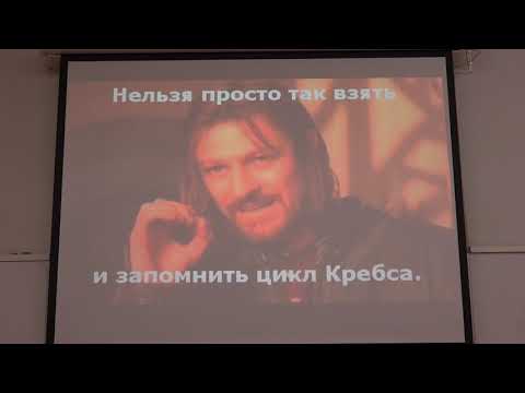 Видео: Зиновкина Л. А. - Молекулярная биология митохондрий - 1. Структура и происхождение митохондрий