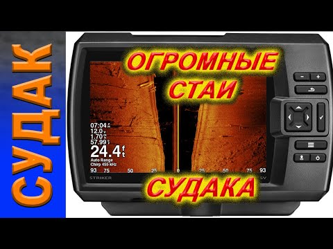 Видео: ОГРОМНЫЕ СТАИ СУДАКА на экране эхолота Garmin Striker Plus 9sv