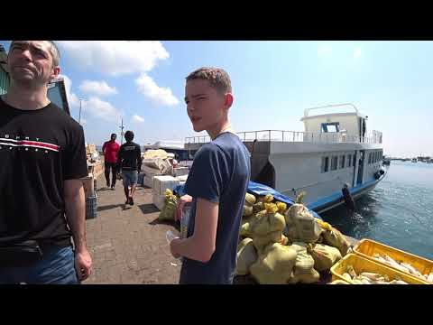 Видео: МАЛЬДИВЫ СЕГОДНЯ, МАЛЕ, Обзор и ЦЕНЫ Фруктового рынка, обзор рыбацкого магазина на 16.03.2020