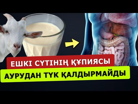 Видео: ЕШКІ СҮТІНІҢ ПАЙДАСЫ 99 ТҮРЛІ АУРУҒА ЕМ БОЛАДЫ... АҒЗАҢЫЗДЫ ЖАҢАРТАДЫ...