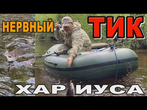 Видео: НЕРВНЫЙ ТИК ХАРИУСА - применяем раттлин TIK на хариуса...
