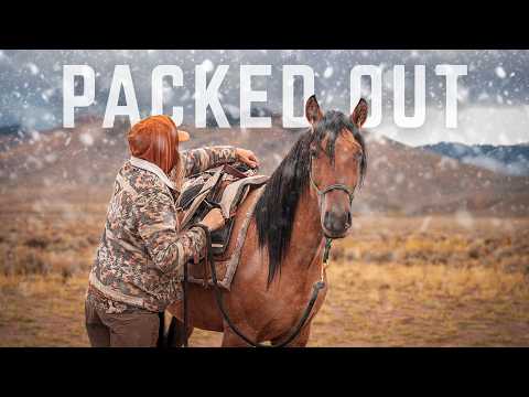 Видео: Тяжесть охоты: как нагрузить годовой запас мяса лося на дикого мустанга