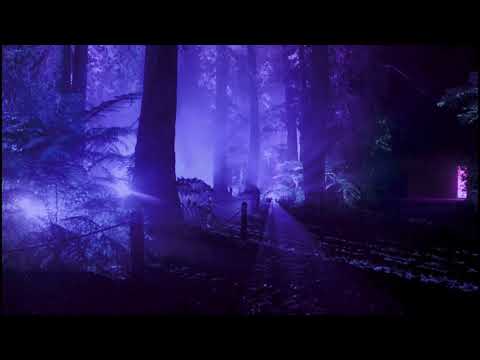 Видео: Молодой Платон & Пошлая Молли & Yanix - DON'T PLAY, BAE (slowed + reverb)