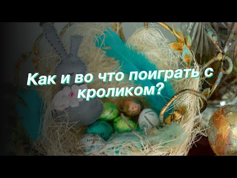 Видео: Как и во что поиграть с кроликом?