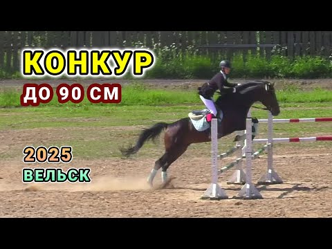 Видео: Конкур с высотой препятствий до 90 см - Вельск 2025