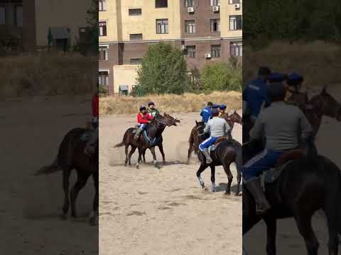 Видео: Талас облусунун чемпионатка карата даярдыгы...