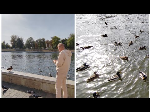 Видео: 30.09.2024 г Набережная реки Оки /Настроения нет/Кормлю уточек/Снятие стресса/Белый шум