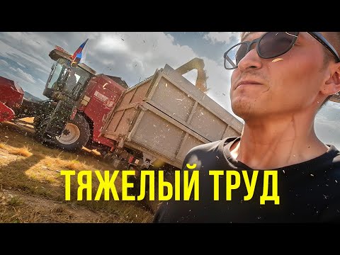 Видео: НЕДЕЛЯ вместе с Фермером! Даем ПРЕМИИ работникам на Уборочной.