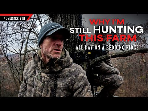 Видео: Почему я всё ещё охочусь на этой ферме — весь день на лесном хребте | Охота с луком на белохвосты...