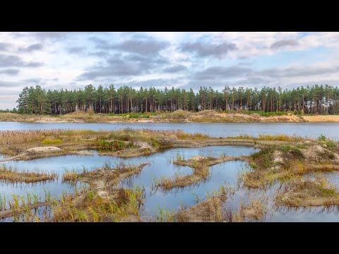 Видео: Дронослёт 12.10.2024