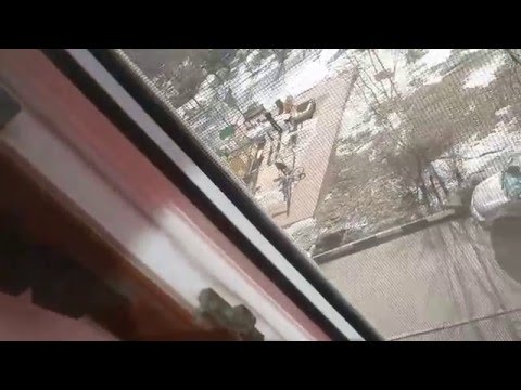 Видео: palikprof.ru Регулировка фурнитуры Roto