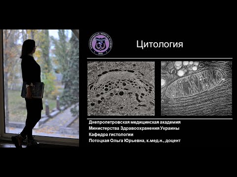 Видео: 1. Цитология Мембрана Транспорт Органеллы