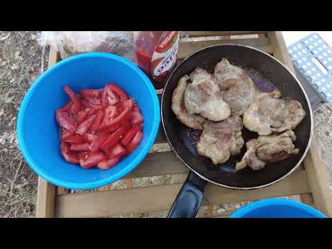 Видео: Рыбалка на Португальского сома!!!