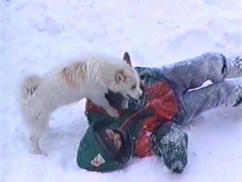 Видео: Лаврентия до перестройки. 2001 г. (В. Никифоров)