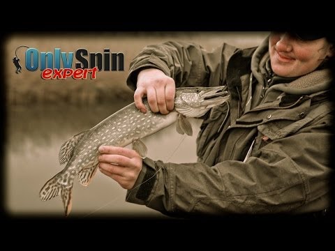 Видео: Ловля щуки на мелководье  Артем Мишин