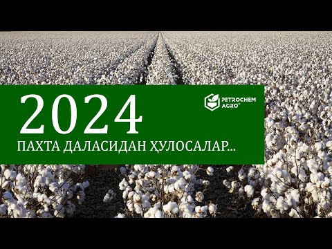 Видео: ПАХТА МАЙДОНИДАН ЙИЛ СЎНГГИ ҲУЛОСАЛАР... (2024)