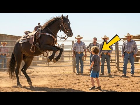 Видео: Миллионер Спорил, Что Никто Не Укротит Его Коня — Пока Уличный Мальчик Не Поразил Всех!