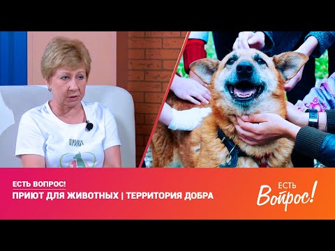Видео: Есть вопрос | Территория добра