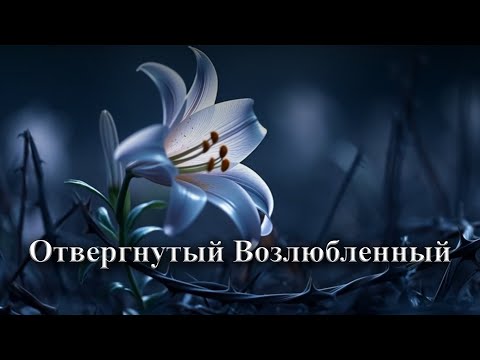 Видео: Отвергнутый Возлюбленный в Торе (Часть 2)
