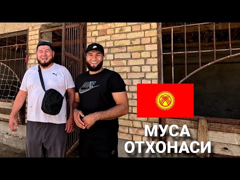 Видео: Кыргызстанга от олишга бордик! Кыргызстан саргузаштлари! 1-қисм