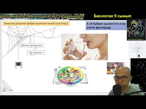 Видео: 9.19 Бүйрек қызметіне әсер ететін факторлар