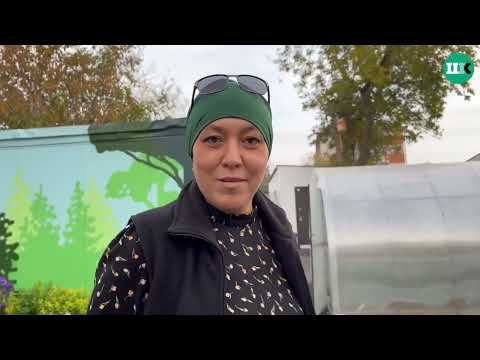 Видео: "Кеше приюты"нда кемнәр яши?