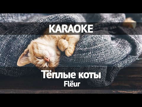 Видео: Flëur - Тёплые коты (Караоке)