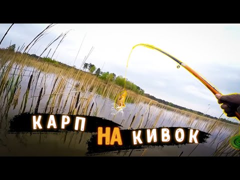 Видео: КАРП на боковой кивок / Ловля карпа / Боковой кивок