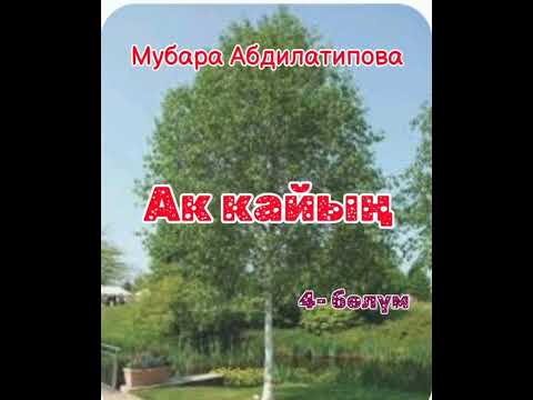 Видео: Мубара Абдилатипова Ак кайың 4- бөлүм