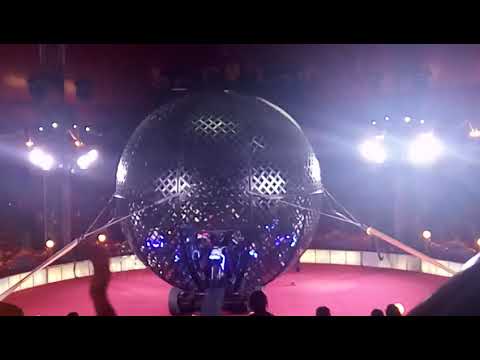 Видео: "Цирк" Докузанови на гости на Цирк Балкански - 01.12.2017 (видео 2)