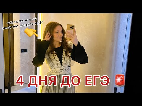 Видео: 4 дня до сдачи егэ *влог*