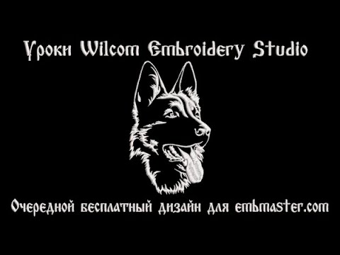 Видео: Бесплатные экспресс подсказки компьютерной вышивки в Wilcom EmbroideryStudio e4.2