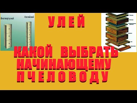 Видео: С чего начать пчеловодство #4 Какой улей выбрать Рут Паливоды Альпиец От А до Я