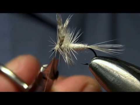 Видео: Сухая мушка Белая поденка