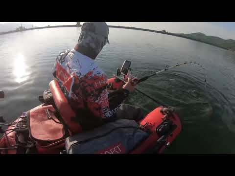 Видео: Риболов на сом с проходилка 2022