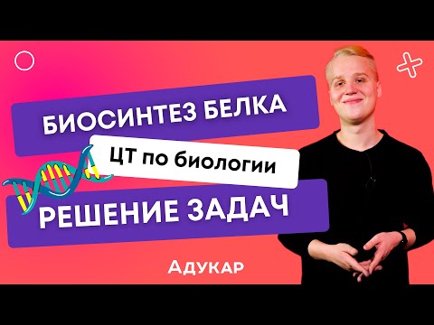 Видео: Биосинтез белка | Решение задач по биологии | Биология ЦТ, ЦЭ, ЕГЭ (2023) | Уроки по биологии