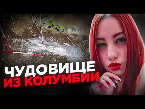 Видео: Обычная вечеринка превратилась в ужасное дело! Колумбия 2018.. Жуткое дело Мелани Стейси Амайя