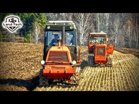 Видео: Пашем поле на гусеничных тракторах ДТ-75 и ВТ-100! ДТ-75 в идеальном состоянии!