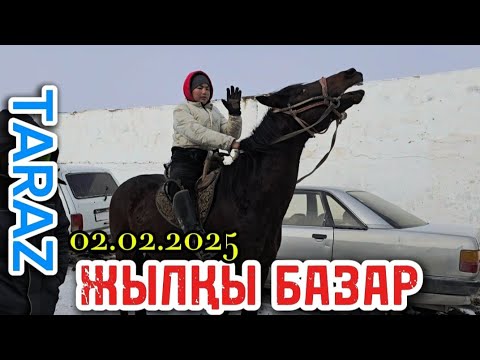 Видео: 02.02.2025 ЖЫЛҚЫ БАЗАР / ТАРАЗ МАЛ БАЗАР