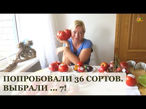 Видео: 36 сортов томатов за раз! Дегустация удалась:)