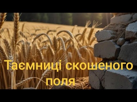 Видео: "Таємниці скошеного поля" Коп з Nokta Score 3.Фільм 20.