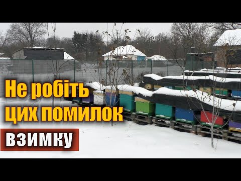 Видео: Помилки бджоляра при зимівлі бджіл!