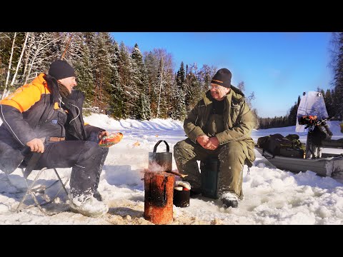 Видео: С БАТЕЙ В ТАЙГУ НА 3 ДНЯ / ЩУКА НА КИЛЬКУ / ЖЕРЛИЦЫ, ХАРИУС / ЖИВЕМ В ИЗБЕ.