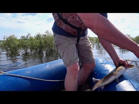 Видео: Ловля рыбы сетью в половодье,  р Конда, ХМАО-Югра
