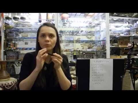 Видео: Разбор норвежской мелодии Royskatten для начинающих