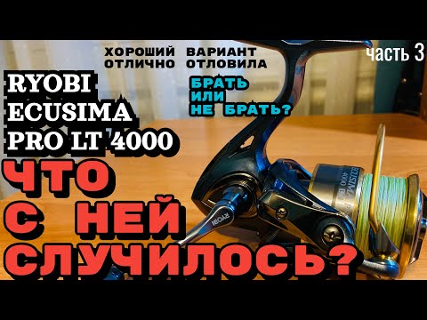 Видео: RYOBI ECUSIMA PRO LT 4000. ЧТО ЖЕ С НЕЙ СЛУЧИЛОСЬ? СТОИТ ЛИ БРАТЬ? Разговоры и ответы на вопросы.