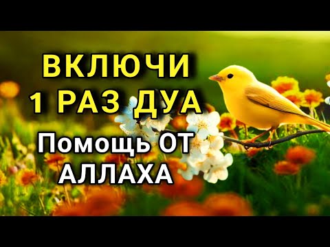Видео: ☝️✨ Слушай ЭТУ дуа один раз и болезни исчезнут навсегда! 🌹🤲💯