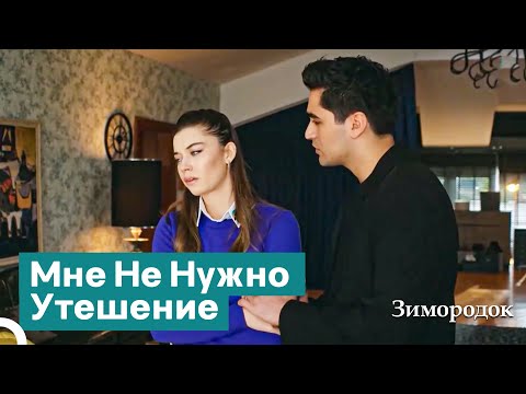 Видео: Ты Понимаешь, В Какое Положение Ты Меня Поставил? | Зимородок