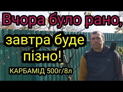 Видео: ІРЖА ГРУШІ: Останній шанс восени! Обробка Карбамідом.