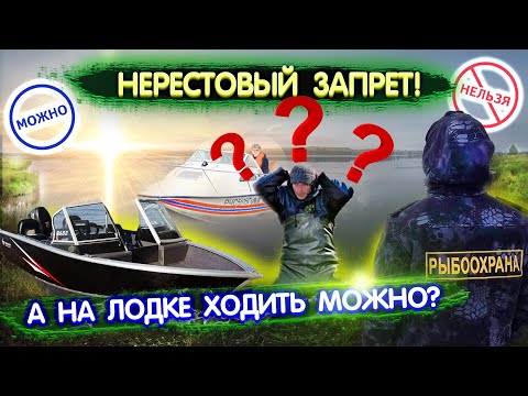 Видео: Нерестовый запрет. Можно ли ходить на лодке с мотором в запрет? Правила рыболовства
